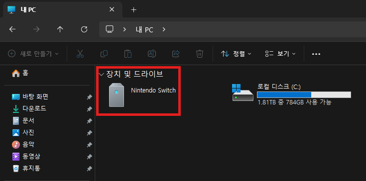 윈도우 내 PC 화면에서 Nintendo Switch 장치가 인식된 모습